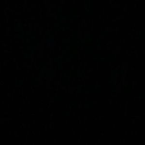 Meet your Posher, Dodi